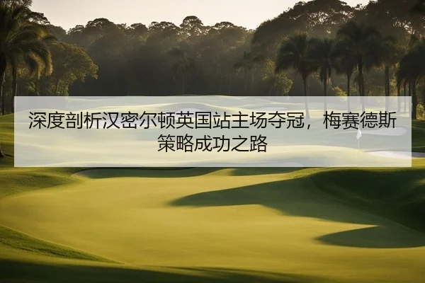 深度剖析汉密尔顿英国站主场夺冠，梅赛德斯策略成功之路 | PG